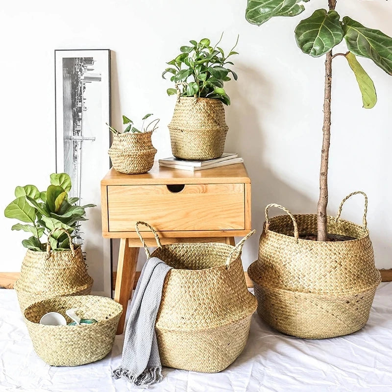 Grand panier en osier pour plante