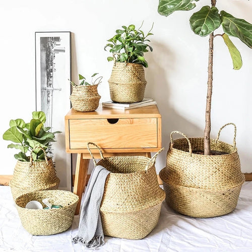 Grand panier en osier pour plante