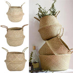 Grand panier en osier pour plante