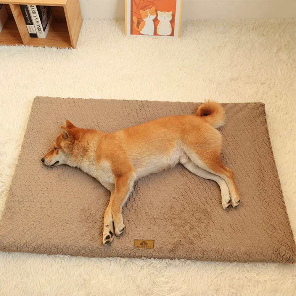 Panier orthopédique pour chien déhoussable