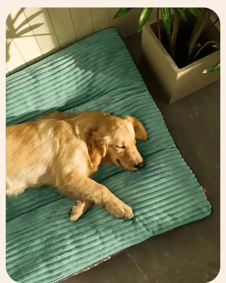 Panier pour grand chien déhoussable