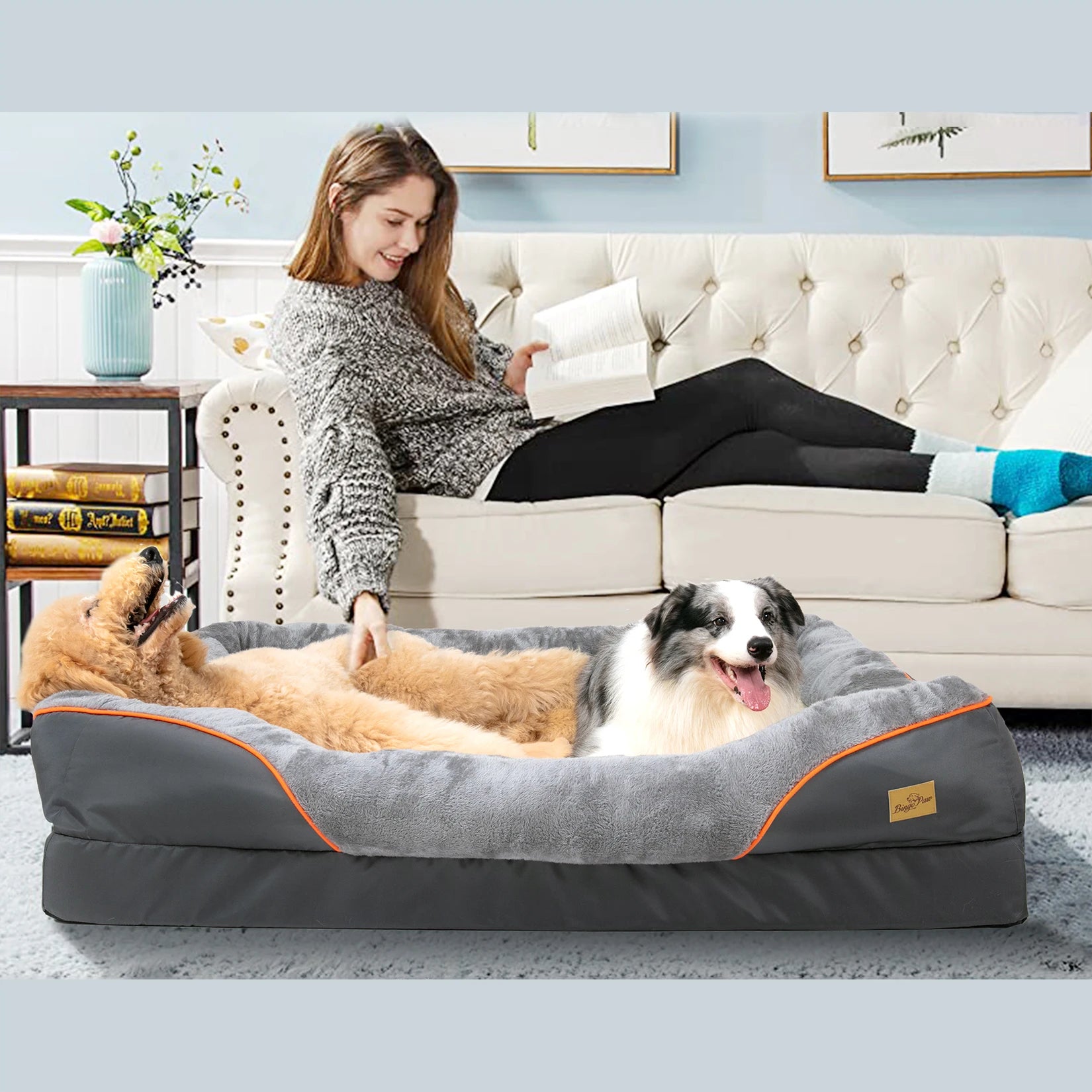 Panier pour chien XXL déhoussable