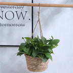 Petit panier suspendu pour plante