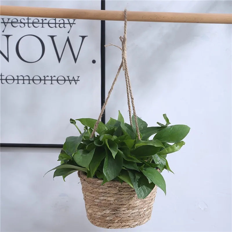 Petit panier suspendu pour plante