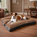 Panier pour chien déhoussable et lavable