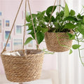 Petit panier suspendu pour plante