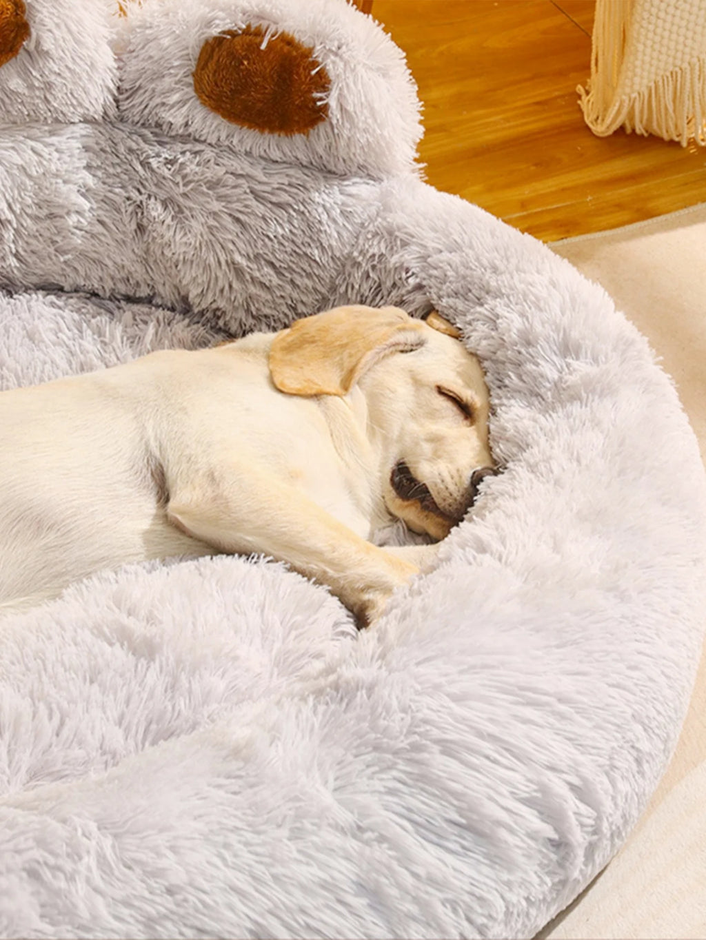 Panier chien design