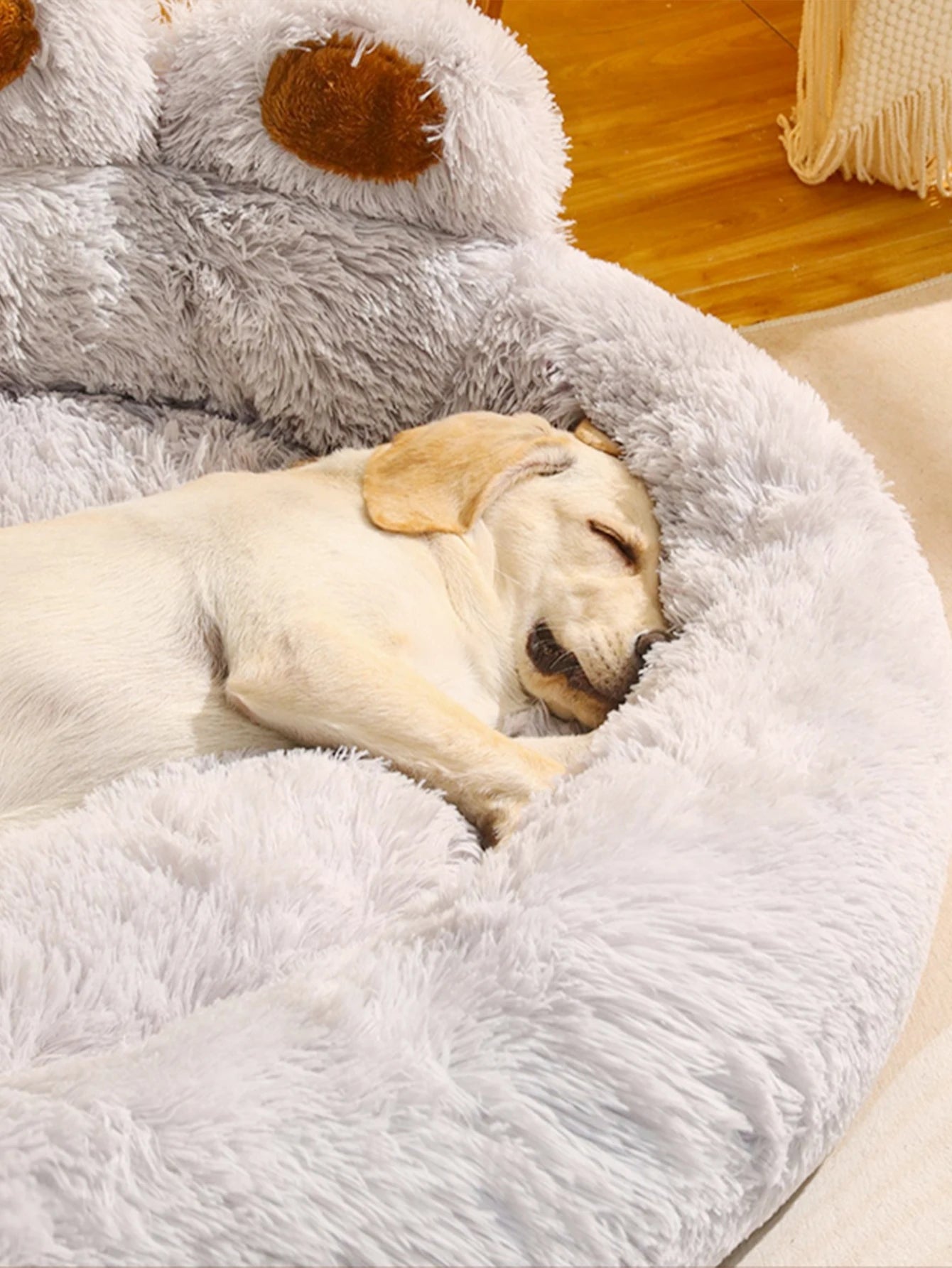 Panier chien design