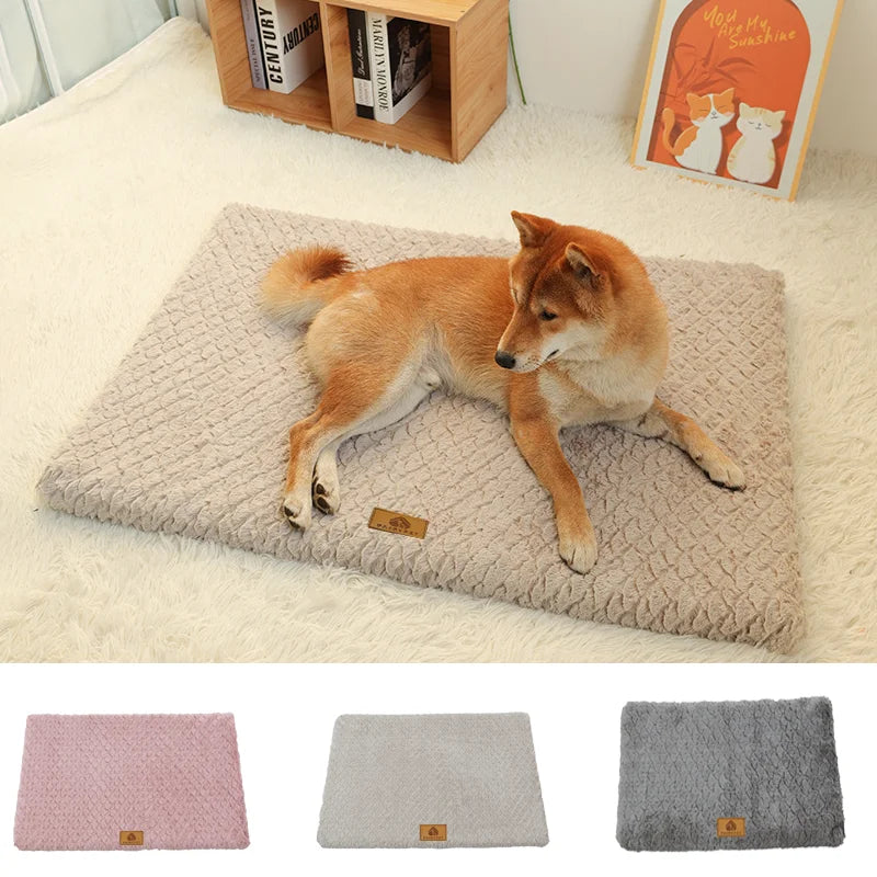 Panier orthopédique pour chien déhoussable