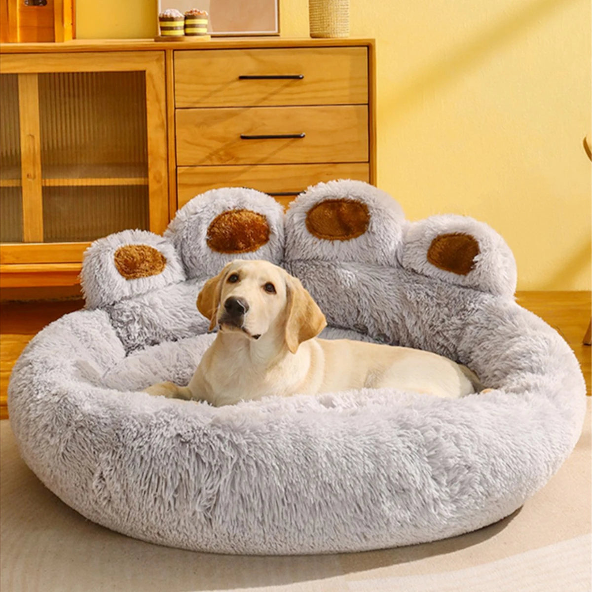 Panier chien design