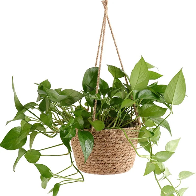 Petit panier suspendu pour plante