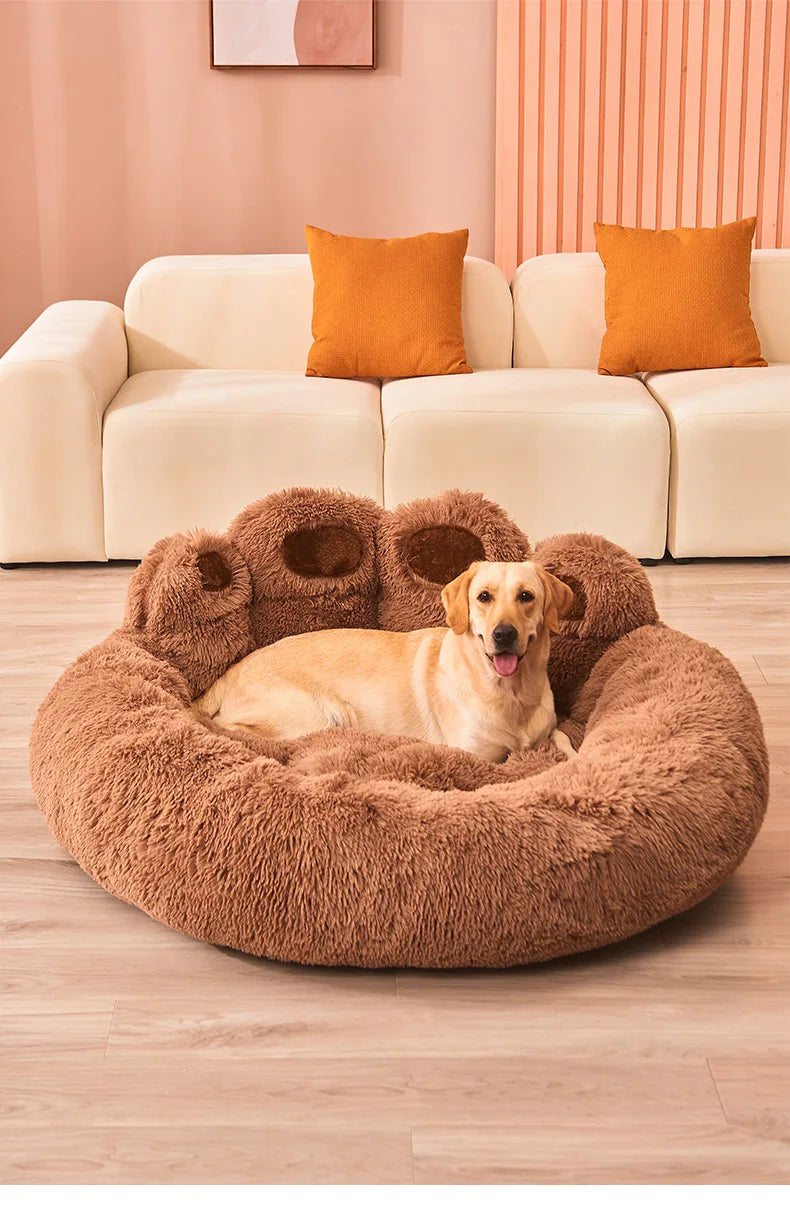 Panier chien design