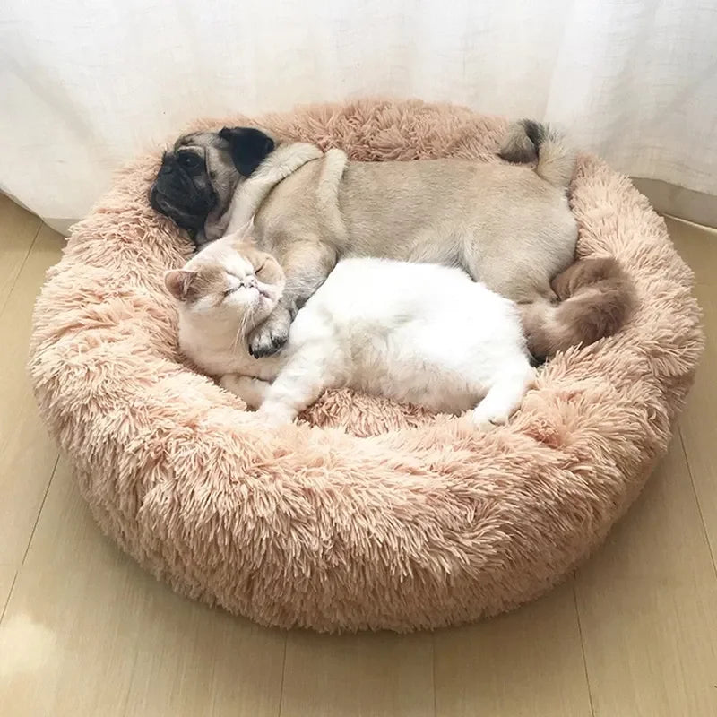 Panier pour chien lavable