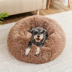 Panier pour chien lavable