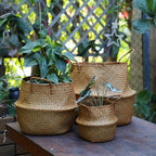 Grand panier en osier pour plante