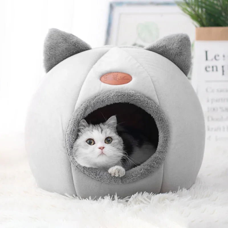 Panier pour chaton