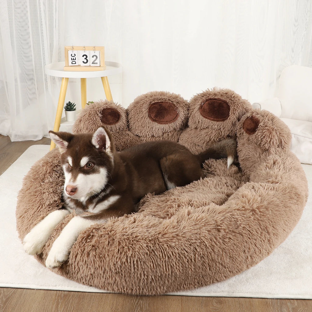 Panier chien design