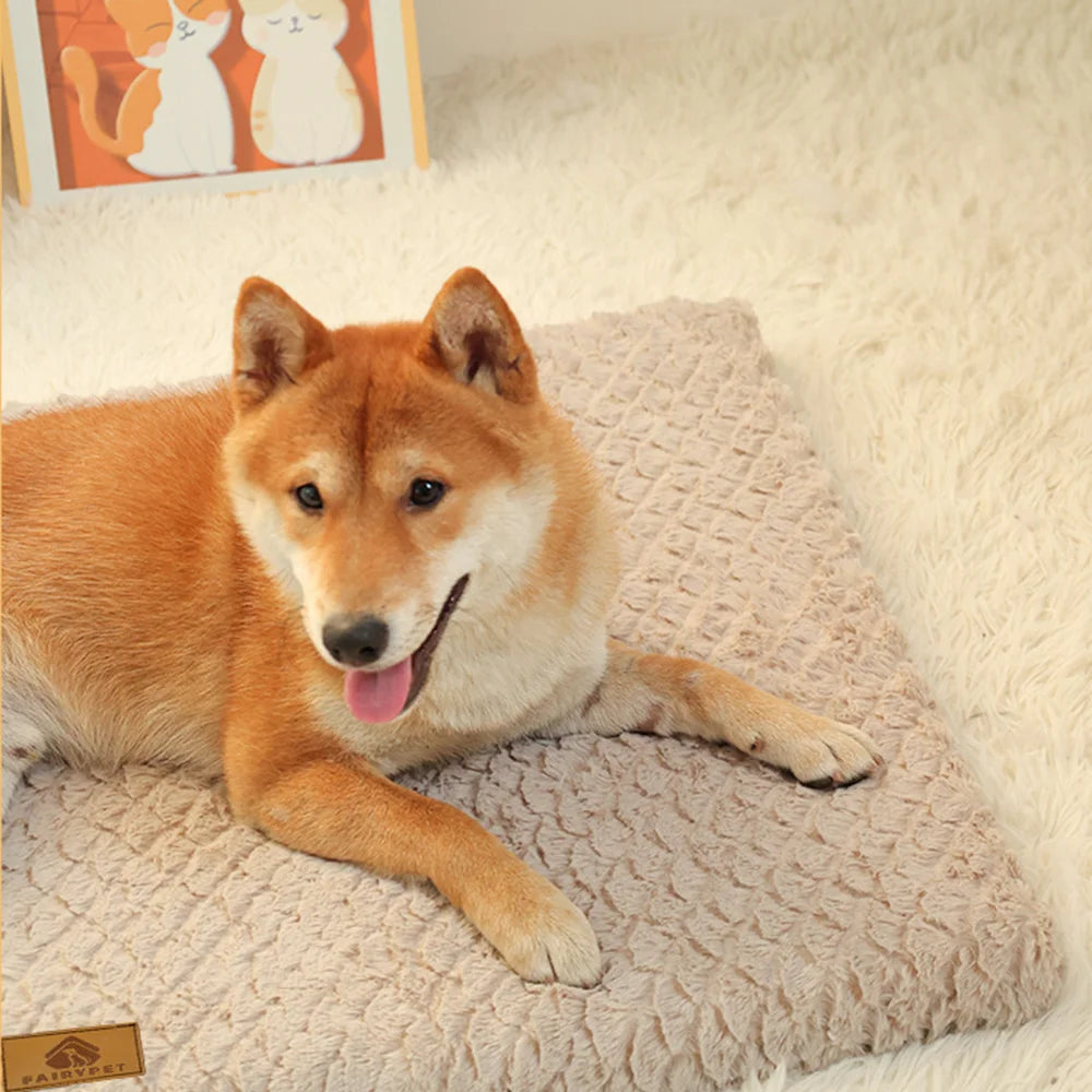 Panier orthopédique pour chien déhoussable