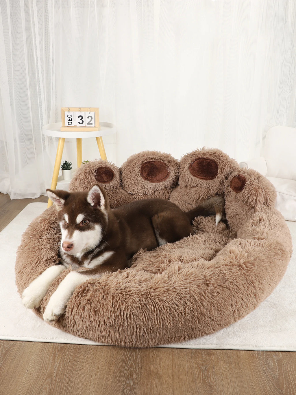 Panier chien design