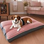 Panier pour chien déhoussable et lavable
