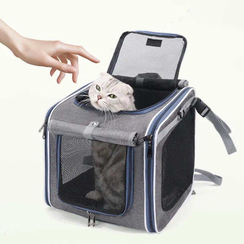 Panier vélo pour chien de 8kg