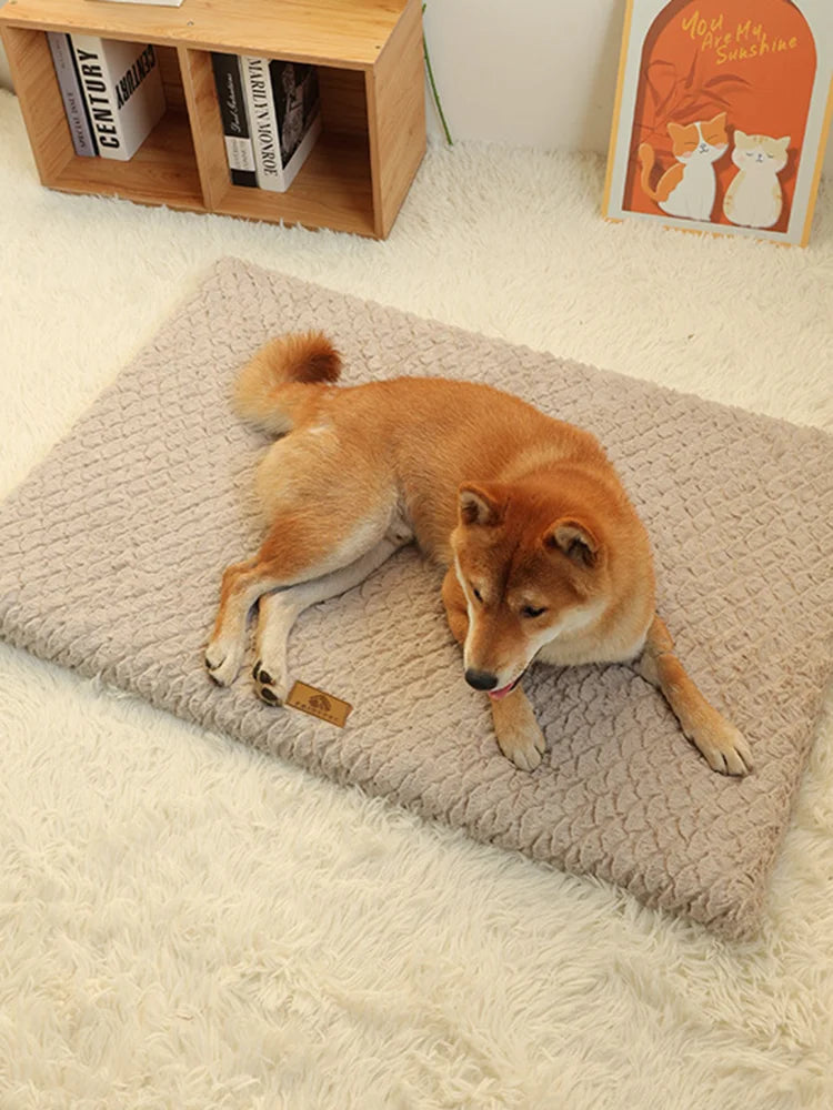 Panier orthopédique pour chien déhoussable