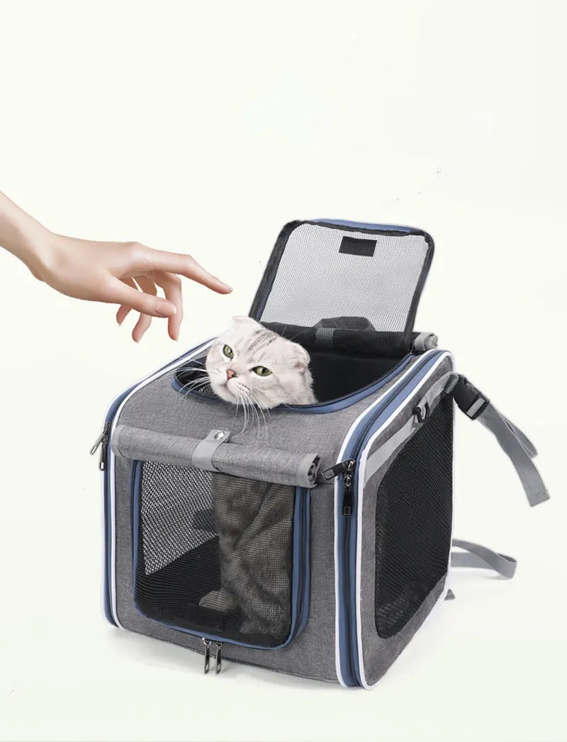 Panier vélo pour chien de 8kg