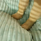 Panier pour grand chien déhoussable