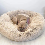 Panier pour chien lavable