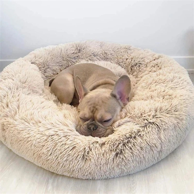 Panier pour chien lavable