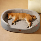 Panier pour chien indestructible