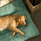 Panier pour grand chien déhoussable