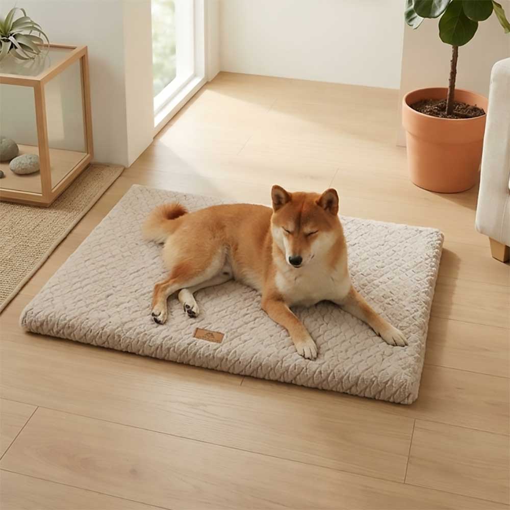 Panier orthopédique pour chien déhoussable