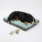 Panier pour grand chien déhoussable