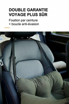 Panier pour chien dans voiture siège arrière