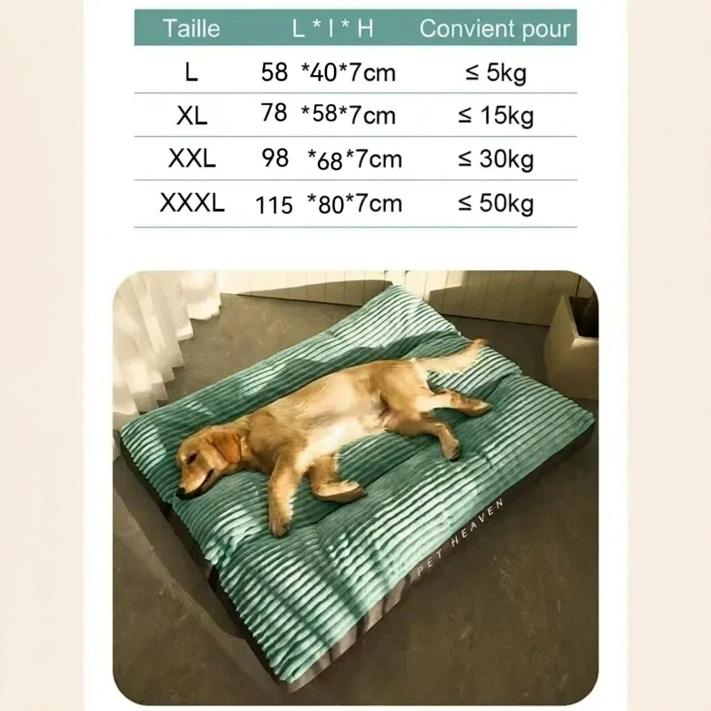 Panier pour chien déhoussable et lavable
