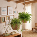 Petit panier suspendu pour plante