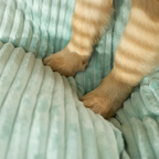 Panier pour grand chien déhoussable