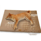 Panier orthopédique pour chien déhoussable