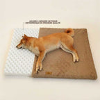 Panier orthopédique pour chien déhoussable