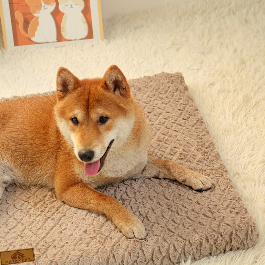 Panier orthopédique pour chien déhoussable
