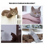Panier radiateur pour chat