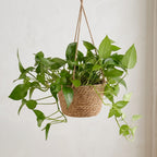 Petit panier suspendu pour plante